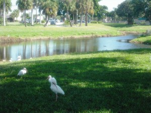 Gaines Park 031