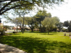 Vedado Park 2-20-2013 032