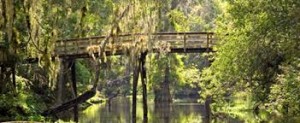 bridge fl state park