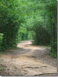 florida state park path