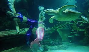 Weeke Wachee mermaid