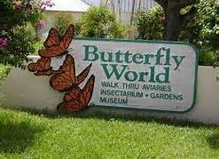 entry sign butterfly world