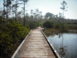 apoxee-park-boardwalk