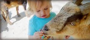 girl feeding