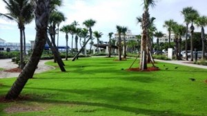 lake-worth-beach-green-space