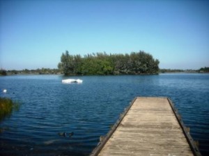 Dock Okeeheelee