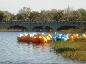 Kayaking at Okeeheelee