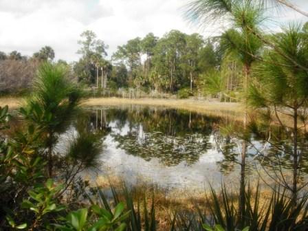 Okeeheelee Nature Center 05