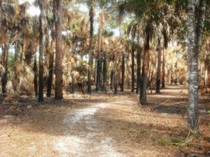 Okeeheelee Nature Center 12