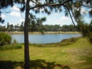 Okeeheelee Park June 2015 010