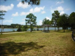 Okeeheelee Park June 2015 021