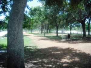 Okeeheelee Park June 2015 025