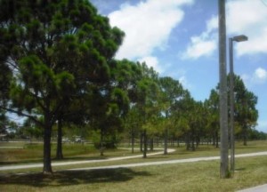 Okeeheelee Park June 2015 028