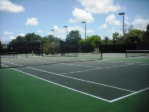 Okeeheelee Park Tennis Courts June 2015 002