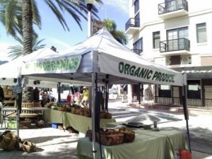 wpb-greenmarket-organic-produce