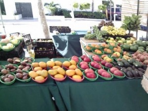 wpb-greenmarket-fresh-produce