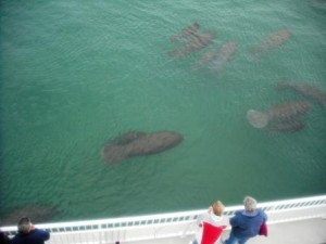 Manatee Lagoon Center Outdoors