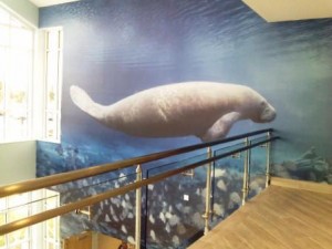 Manatee Lagoon Mural