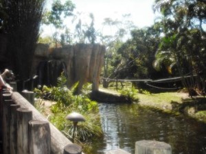 Palm Beach Zoo Monkey Island