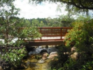 Morikami Museum Bridge