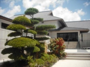 Morikami Museum manicured trees