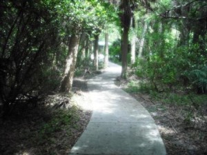 Blazing Star Nature Trail Frenchman Forest