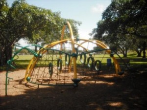Phipps Park WPB Play Structure for Kids