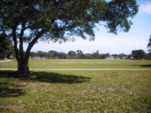 Phipps Park WPB playing field