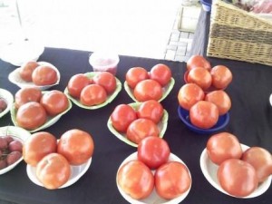 Riviera Beach Marina Greenmarket Fresh Tomatoes