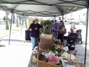 Riviera Beach Marina Greenmarket Produce