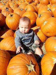 toddler with pumpkins