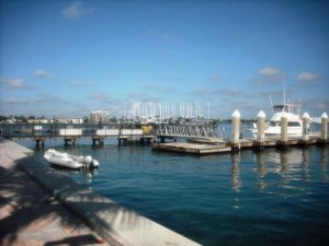 phil-foster-park-boat-docks