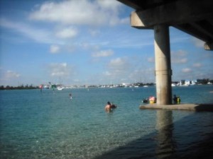 phil-foster-park-snorkeling