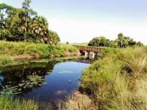 winding-waters-bridge-view