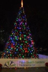 palm-beach-gardens-christmas-tree