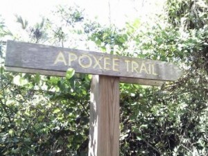 apoxee-trail-sign