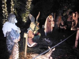 hoffmans-nativity-scene