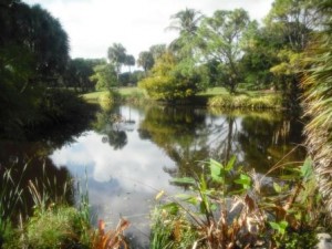 mounts-botanical-garden-scenery-wpb