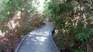 Boardwalk JN Darling Wildlife Refuge