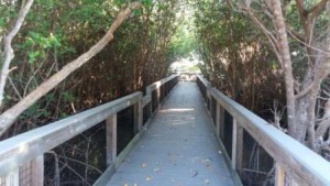 Ding Darling Wildlife Refuger Boardwalk