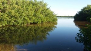 JN Darling Refuge Sanibel