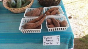 Westgate Greenmarket Sweet Potatoes