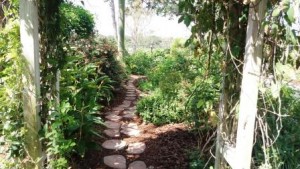 Mounts Garden Path
