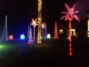 Mounts Garden of Lights 10