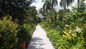 Norton Museum Garden